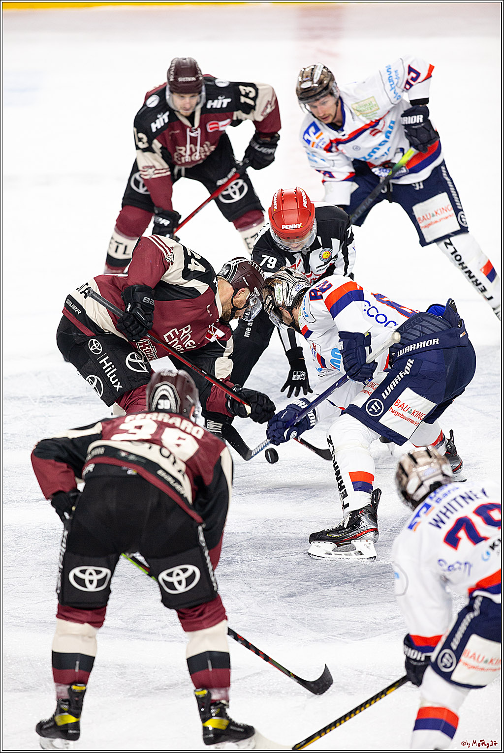 PENNY DEL;  Koelner Haie - Iserlohn Roosters; Koeln, 02.03.2021